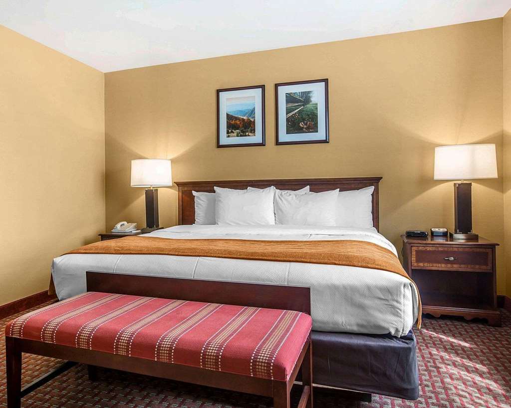 סנט ג'ונסבורי Comfort Inn & Suites Near Burke Mountain חדר תמונה
