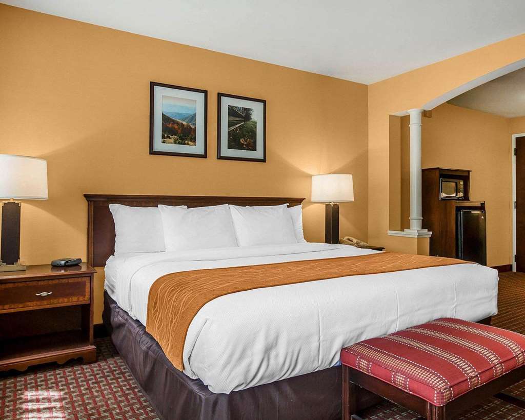 סנט ג'ונסבורי Comfort Inn & Suites Near Burke Mountain חדר תמונה